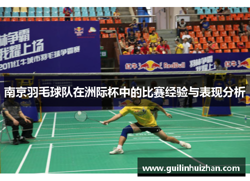 南京羽毛球队在洲际杯中的比赛经验与表现分析