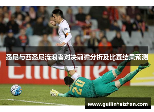 悉尼与西悉尼流浪者对决前瞻分析及比赛结果预测